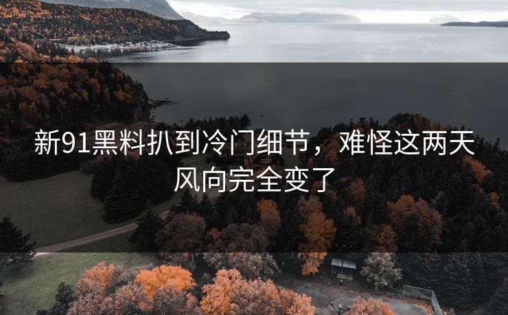 新91黑料扒到冷门细节，难怪这两天风向完全变了